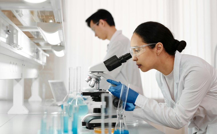 项目实施与人才建设